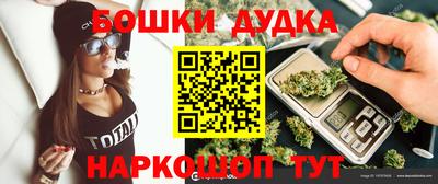 стафф Будённовск