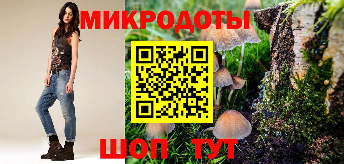Псилоцибиновые грибы Cubensis Торжок