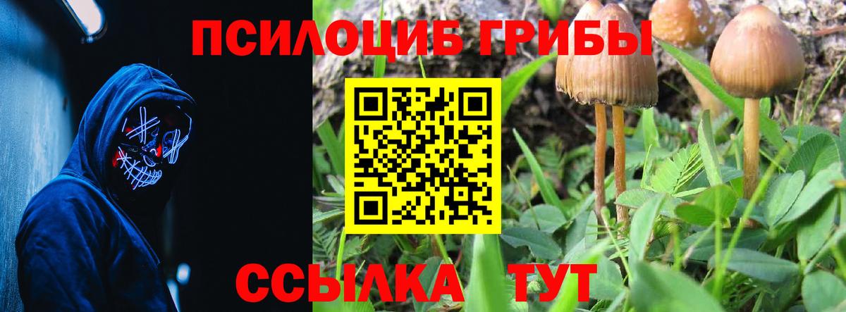 Торжок  Псилоцибиновые грибы Cubensis  Псилоцибиновые грибы ЛСД  Вход с VPN 